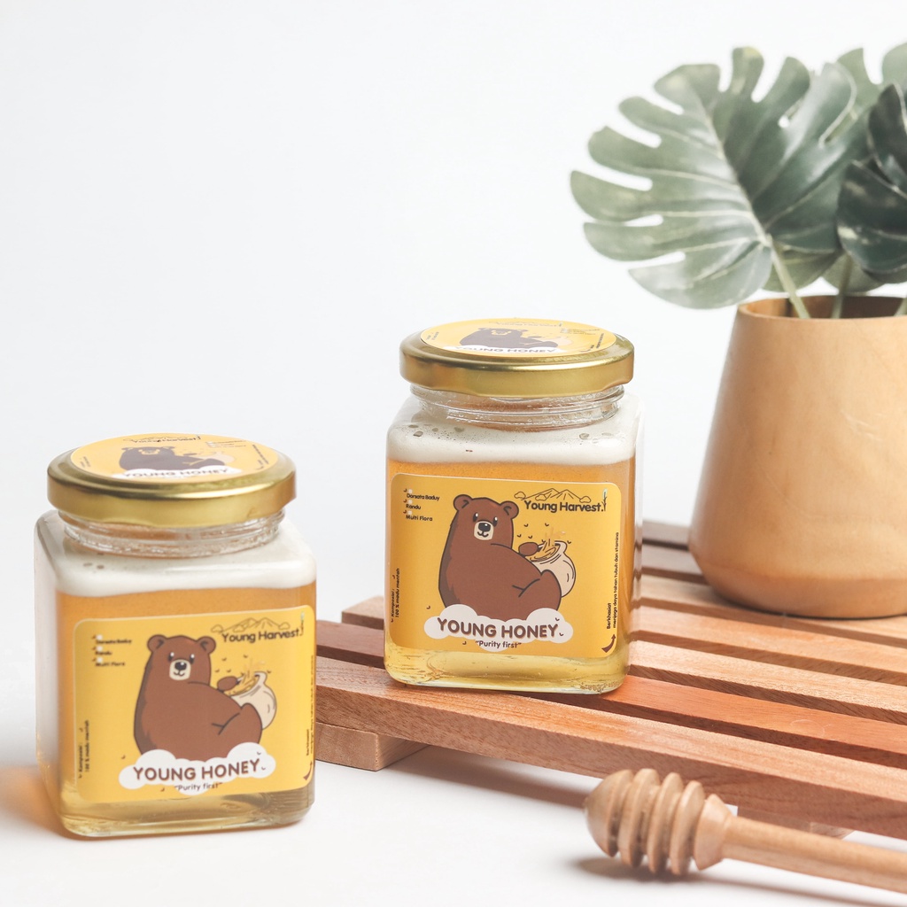 

Madu murni hutan batealit Jepara YOUNG HONEY 250 Premium