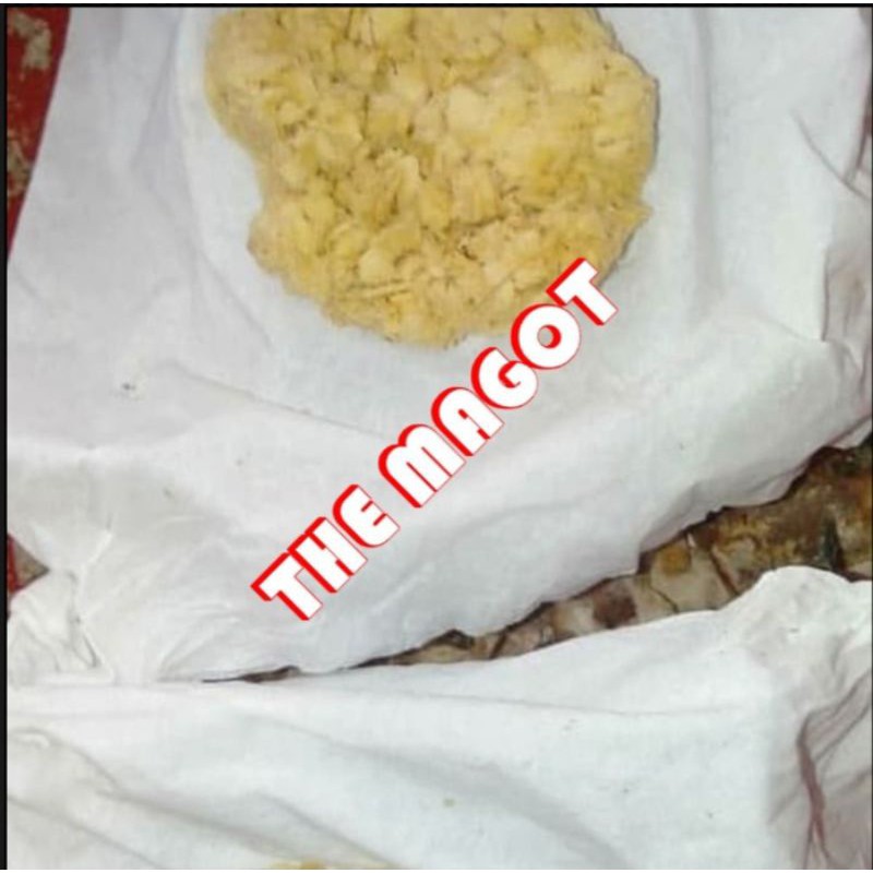 

Telur Maggot 25gram