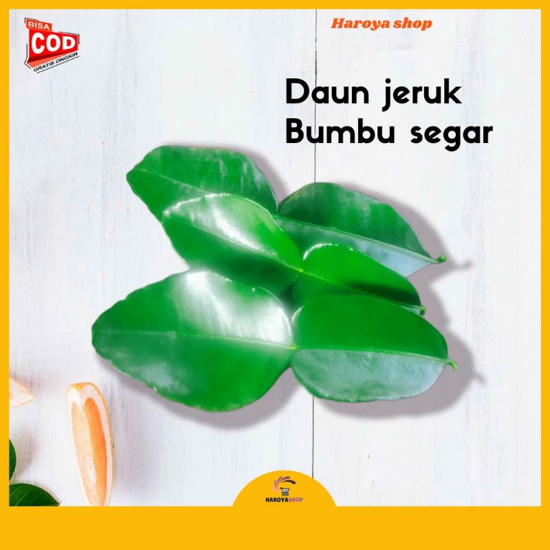 

❤Haroya❤Daun jeruk purut/bumbu dapur/segar