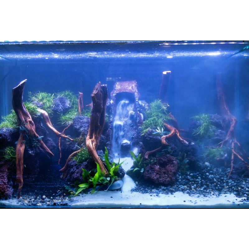aquascape jasa design waterfall