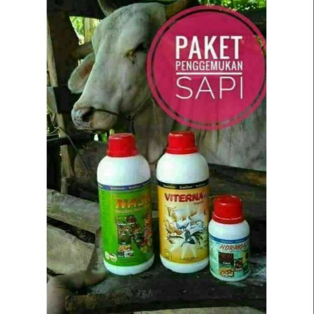 VITAMIN PNGGEMUK TERNAK SAPI