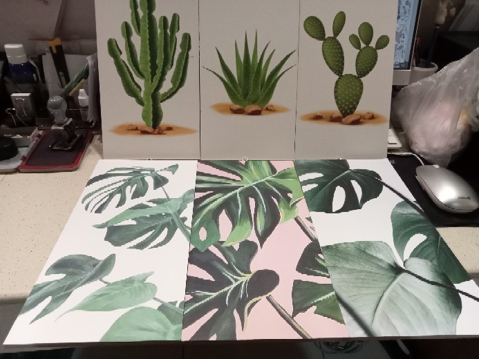 Hiasan Dinding Dekorasi Rumah Kamar Tropical Kaktus Leaf