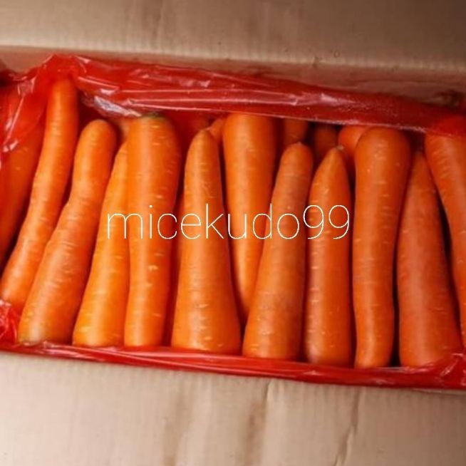 

WORTEL IMPOR SEGAR / FRESH CARROT IMPORT SAYUR