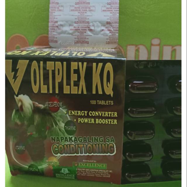 VOLTPLEX KQ 10capsul doping ayam tarung piso suplemen vitamin tenaga gesit ayam pisau