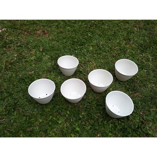 Harga Terbaik POT BUNGA KEMBANG TAWON PUTIH 12CM 12 CM Harga Terbaik POT BUNGA KEMBANG TAWON PUTIH 12CM 12 CM