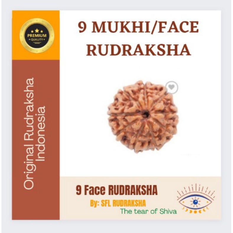 9 MUKHI RUDRAKSHA 8pcssudah ada lobang size 17mm up