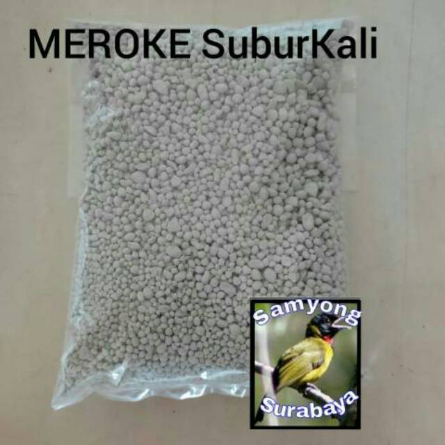 Pupuk Meroke SuburKali Butir, Meroke Subur Kali