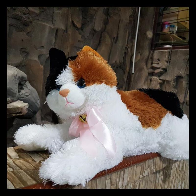 SNI ! Boneka Kucing Jumbo 55 cm LUCU ESMERALDA   gemes kado anak pacar sahabat cewek JUMBO BESAR MINI KECIL  everly.id everlyid gemoy lucu