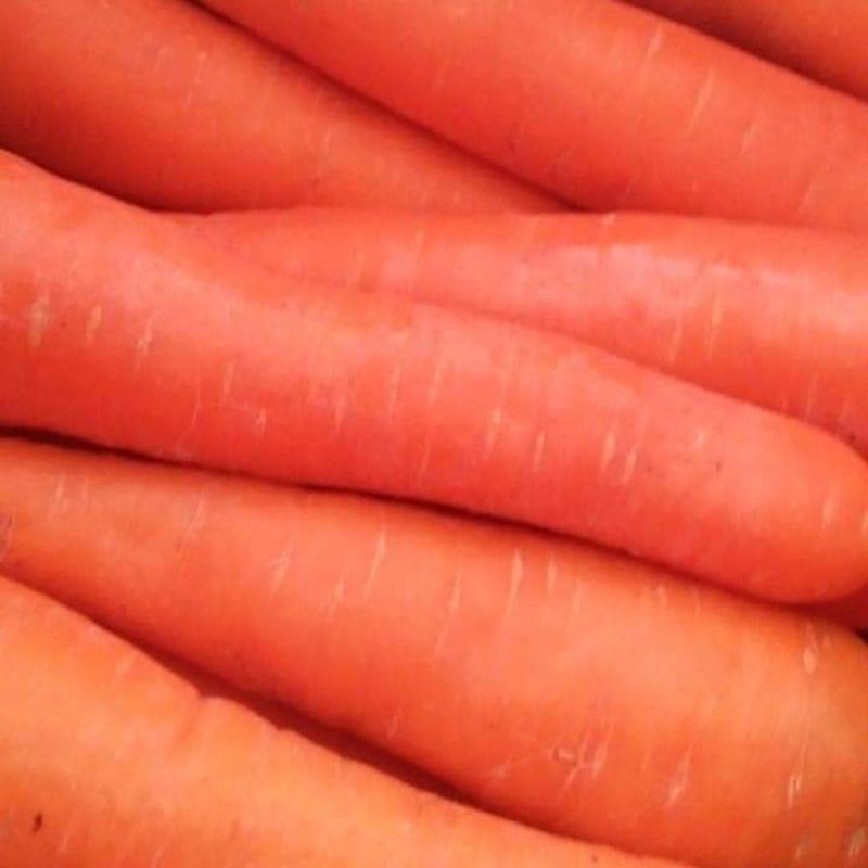 

wortel berastagi 1kg segar