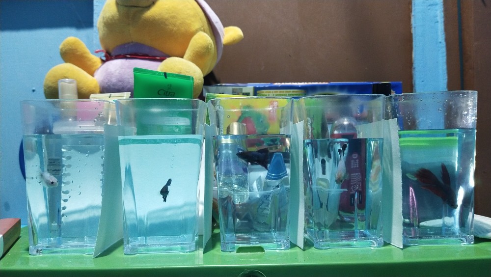 Gelas Persegi & Bulat Bening Bpa Free Bersertifikat Sni/gelas Mika Akrilik Bening Segi & Bulat