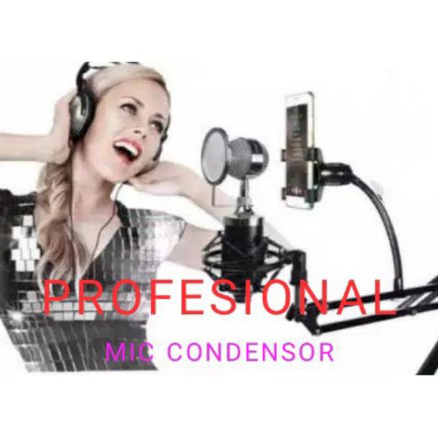Profesional Mic Condensor