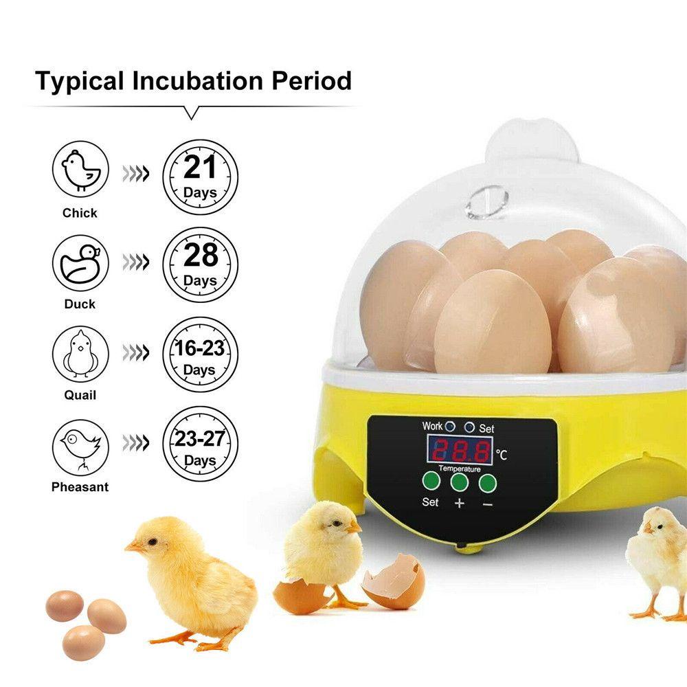 Suyo Inkubator Penetas 7 Telur Dengan Kontrol Suhu