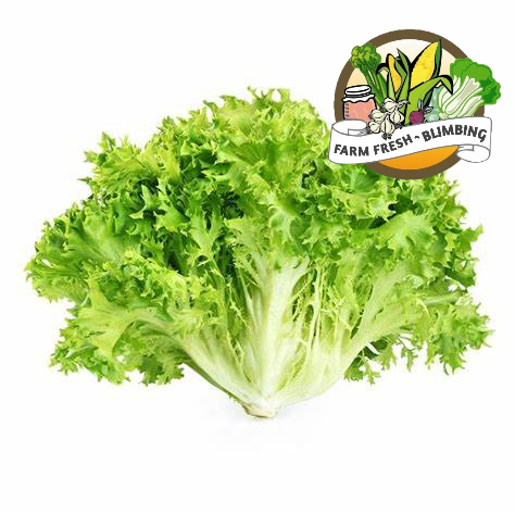 

Frisee Lettuce / Endive 250 Gr