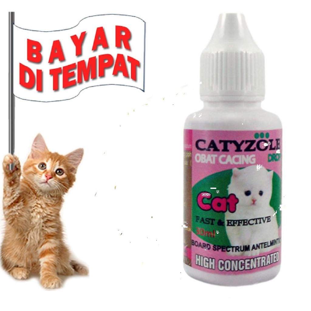 OBAT CACING KUCING SAKIT CACINGAN AMPUH CATYZOLE