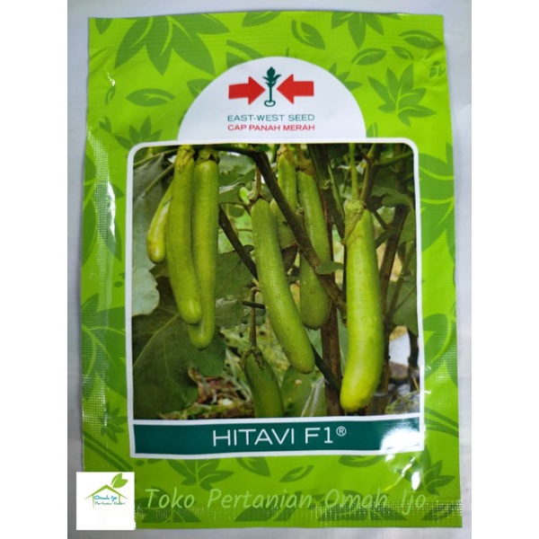

Hitavi F1 Terong Hijau Hibrida Tahan Virus Kemasan 1.100 Butir Original Pabrik Cap Panah Merah