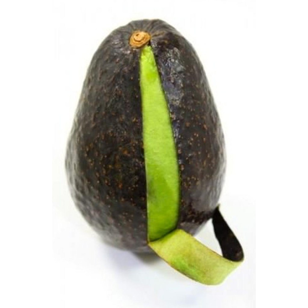 Asli Bibit Tanaman Buah Alpukat Hass Australia 12Rr