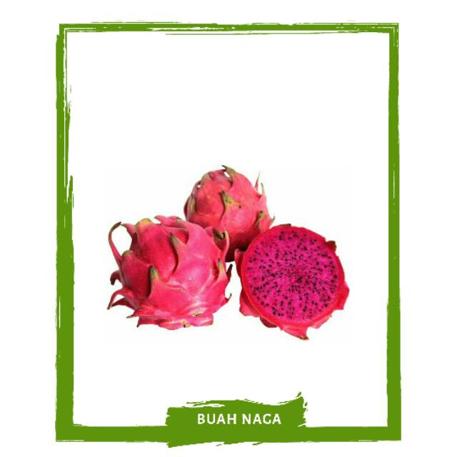

Buah Naga / Buah Buahan Segar By Mallahrizwa