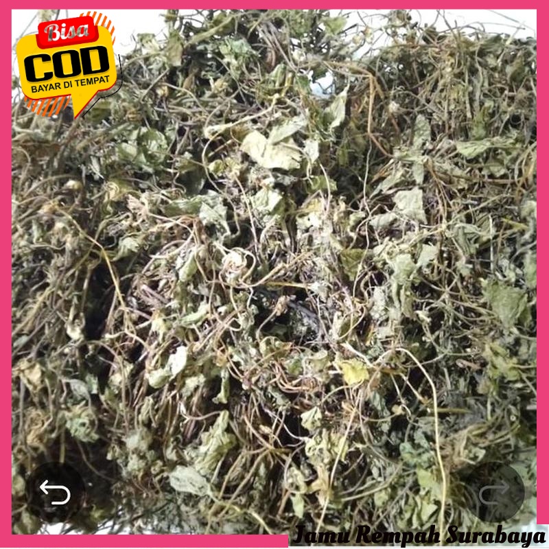 

COD Daun Pegagan Kering 1kg , Daun Antanan kering , Daun Kaki Kuda Kering