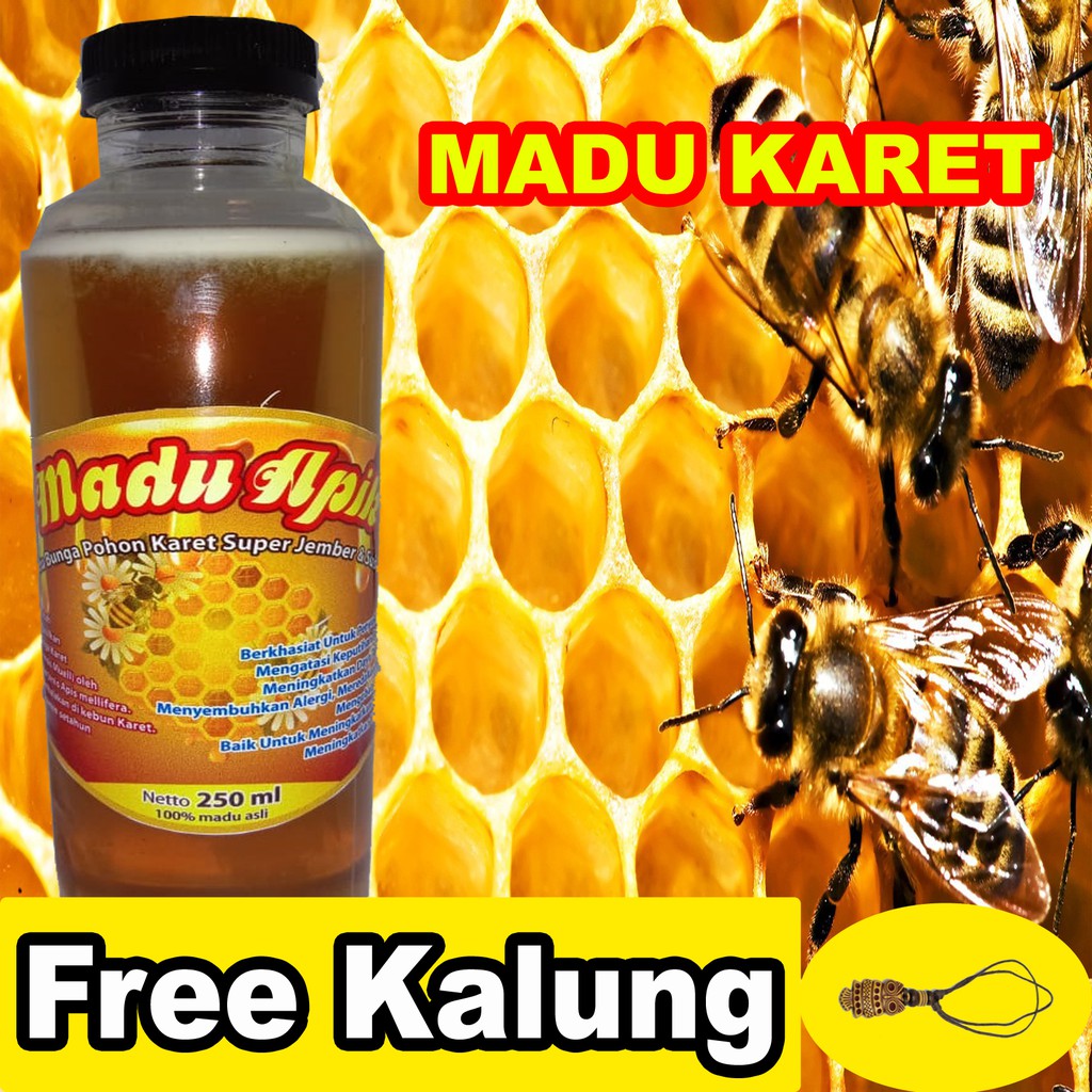 

madu jenis pohon karet