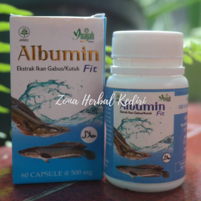 ALBUMIN (Kapsul Ekstrak Ikan Kutuk/Gabus)