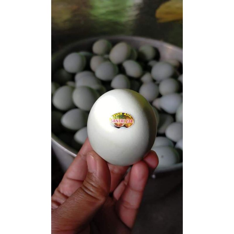 

Telur Asin SANTRI 234