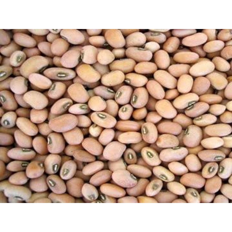 

kacang tunggak 500gr