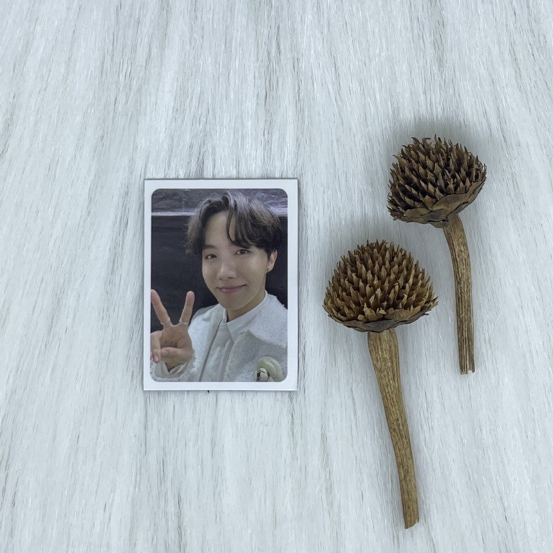 [Ready Stock] Official BTS Magnet Jhope / hoseok BE Essential album (FC Japan benefit) + BTS logo