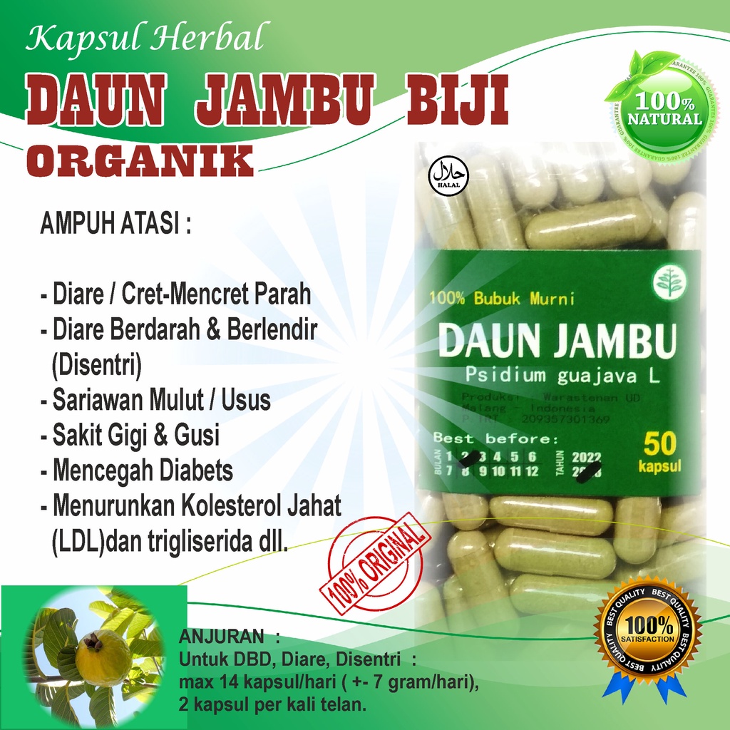 DAUN JAMBU BIJI ORGANIK 50 KAPSUL / AMPUH ATASI DIARE DISENTRI  DIABETS SARIAWAN