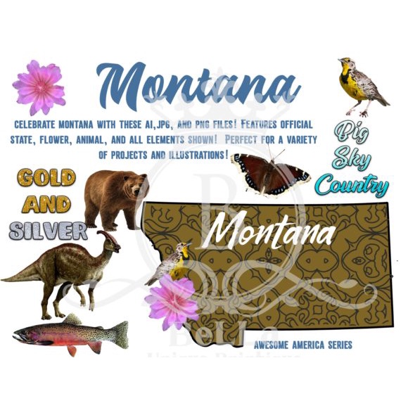 Montana Awesome America Series