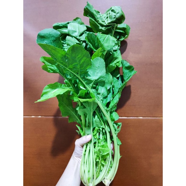 

Arugula Organik || 200gram || Organic Aragula