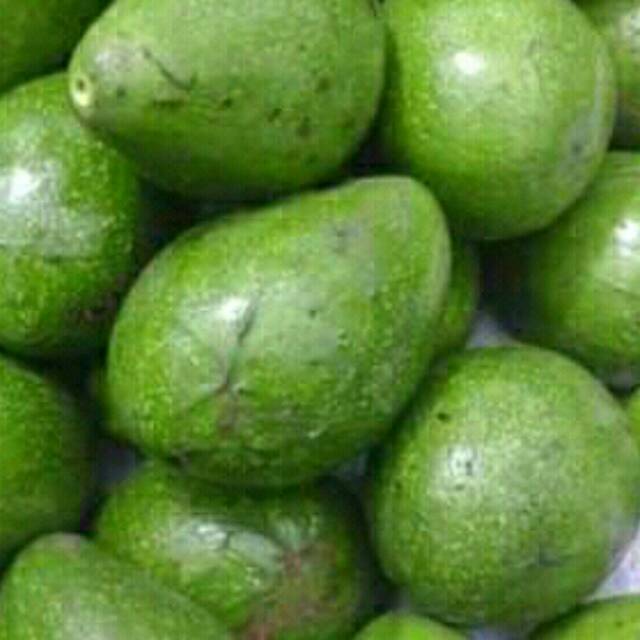 

Alpukat Mentega (1000 gram)