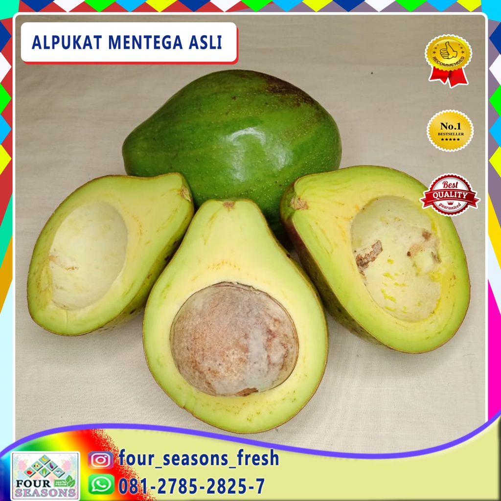 

TERBAIK BUAH ALPUKAT MENTEGA JUMBO LEZAT