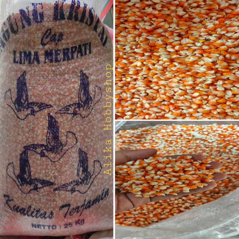 Jagung kristal/pakan burung dara/merpati
