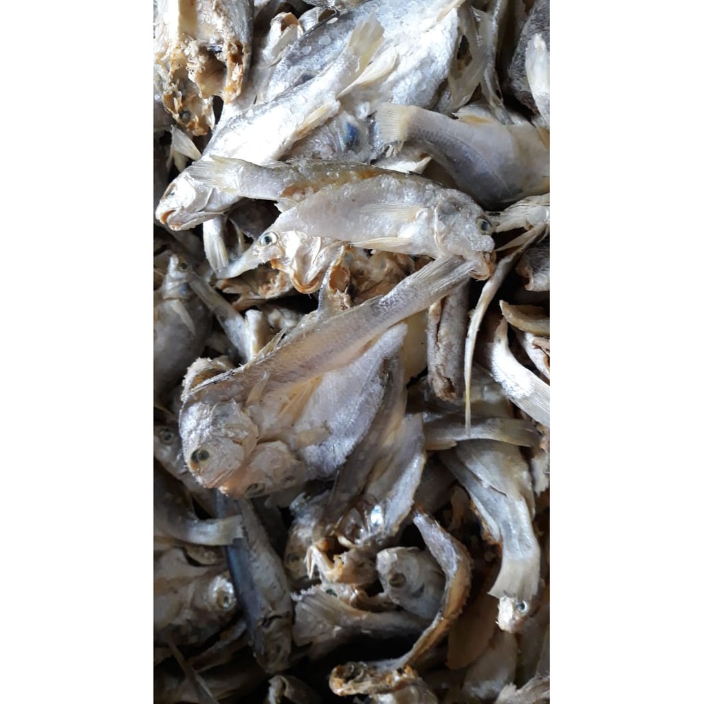 

Belah sisik 500 gram