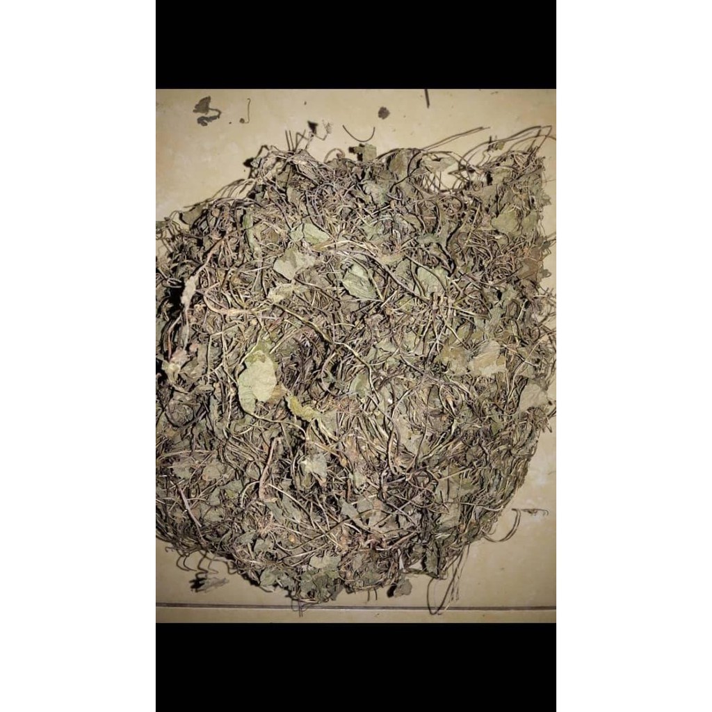 

Pegagan Bubuk 500 gram Herbal Alami