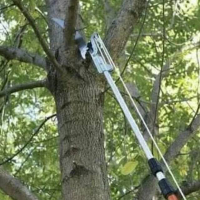 Gergaji Dahan Gergaji Pohon Gunting Galah Gunting Tarik Tree Pruner