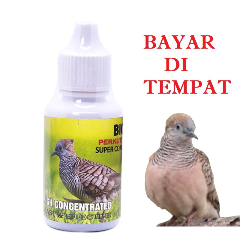 VITAMIN BURUNG PERKUTUT KONTES LOMBA HARIAN AMPUH TERMURAH BIO GEN