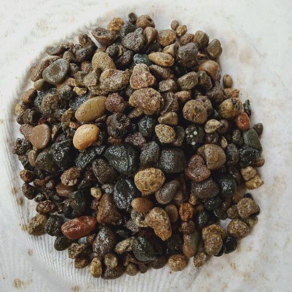 Batu Kerikil Batu Sungai 1000 Gram Press