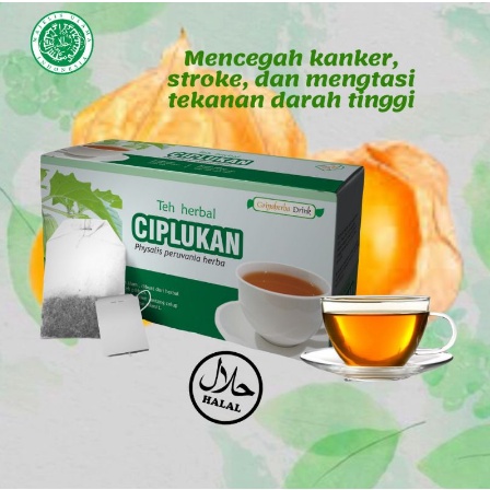 TEH CIPLUKAN Obat herbal alami untuk diabetes dan sakit tenggorokan dengan Teh Herbal Daun Ciplukan Griya herba halal alami aman