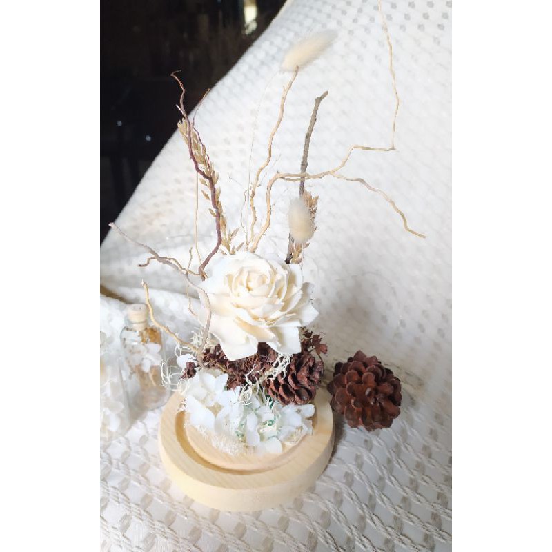 Glass dome, Sola wood Flower, dried flower