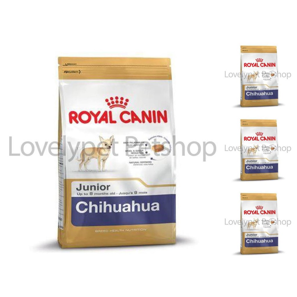 royal canin chihuahua junior 1,5kg / dogfood royal canin