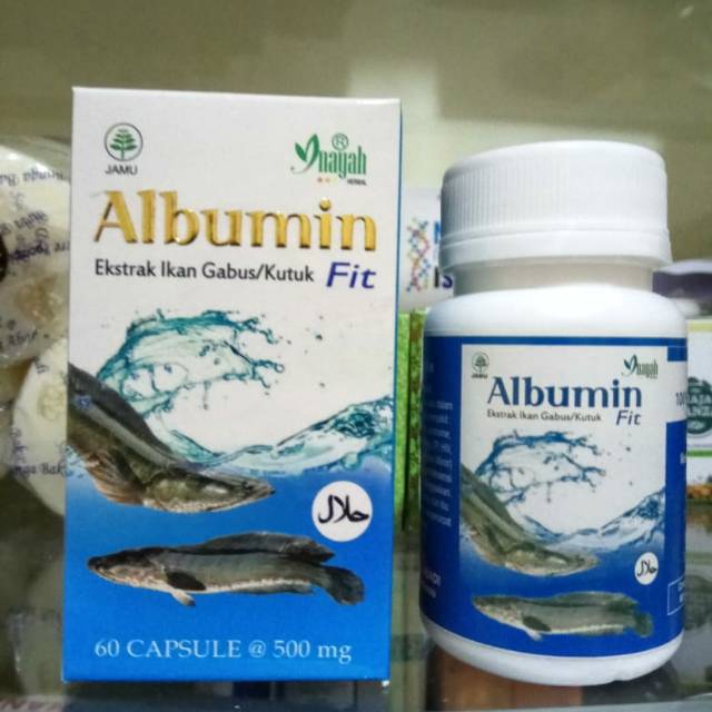 Kapsul albumin ikan gabus kutuk