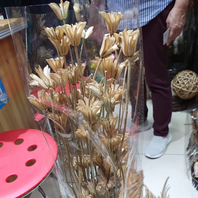 

Bunga kering daun kering