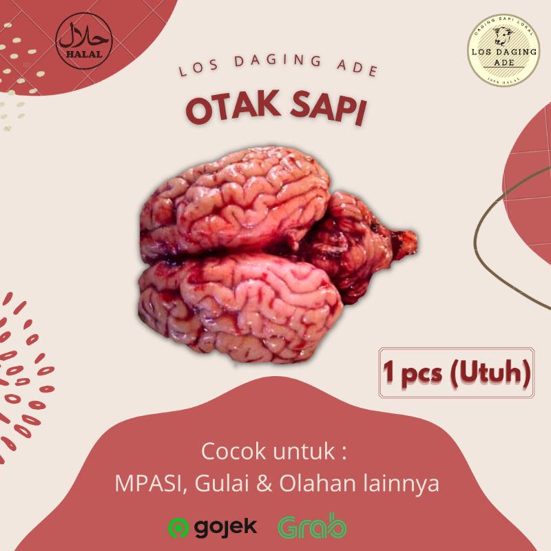 

Otak Sapi Fresh | 1 pcs Utuh