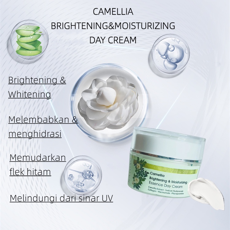 (BPOM) Katoso Camellia Brightening &amp; Glowing Essence Day Cream 10g