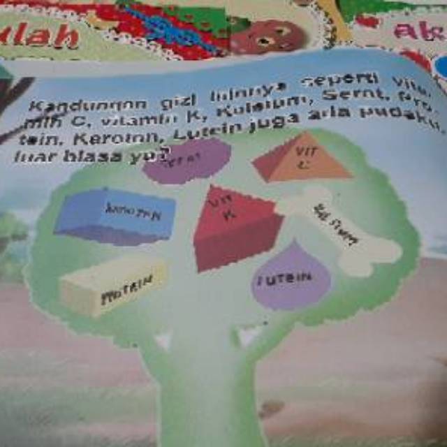 Buku Cerita Mengenal Manfaat Buah dan Sayur Bilingual Full Collor