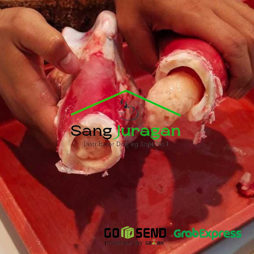 

tulang sumsum paha/Sakengkel tanpa daging - SANG JURAGAN