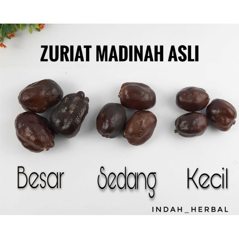 

Buah Zuriat Madinah Asli Murah Satuan / Zuriat Madinah Promil