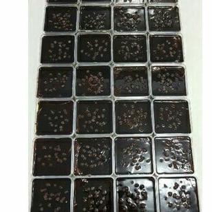 

DESSERT CHOCOLATE TURKISH/COKLAT/CEMILAN/FRESH