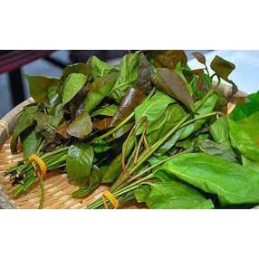 

Daun Melinjo 100gram